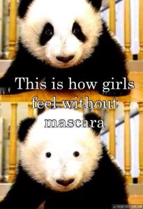 funny-panda-mascara-girls-feels